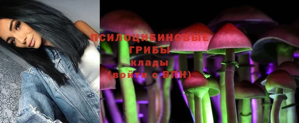 СК Наволоки