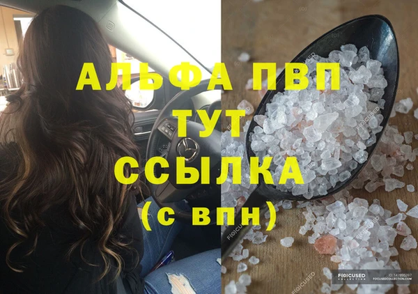 гашик Михайловск