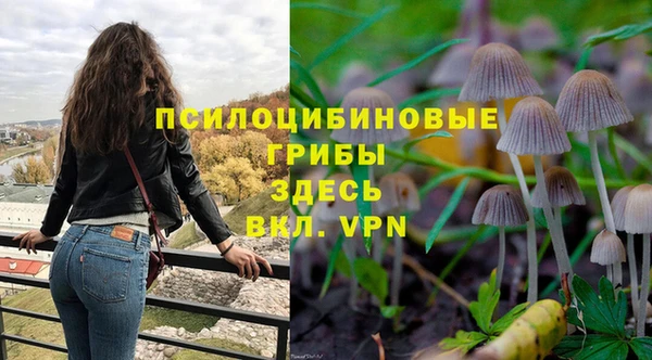 стаф Надым