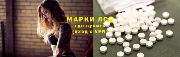 стаф Надым