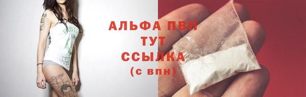 стаф Надым