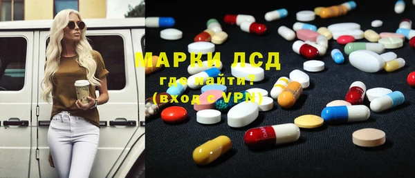 гашик Михайловск