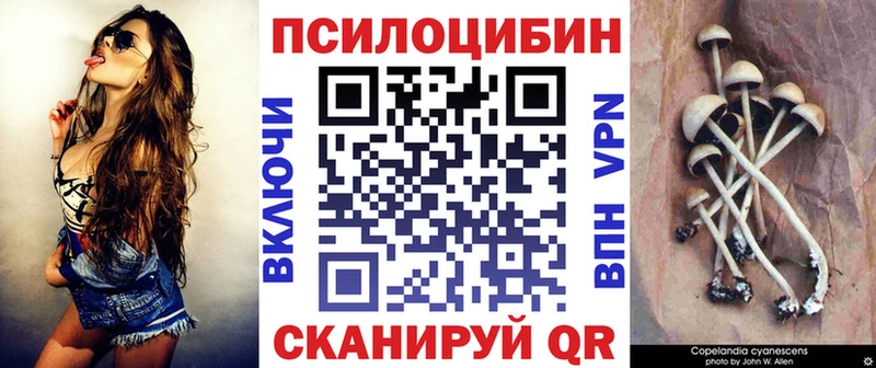 Псилоцибиновые грибы Psilocybine cubensis  Купить  Самара 